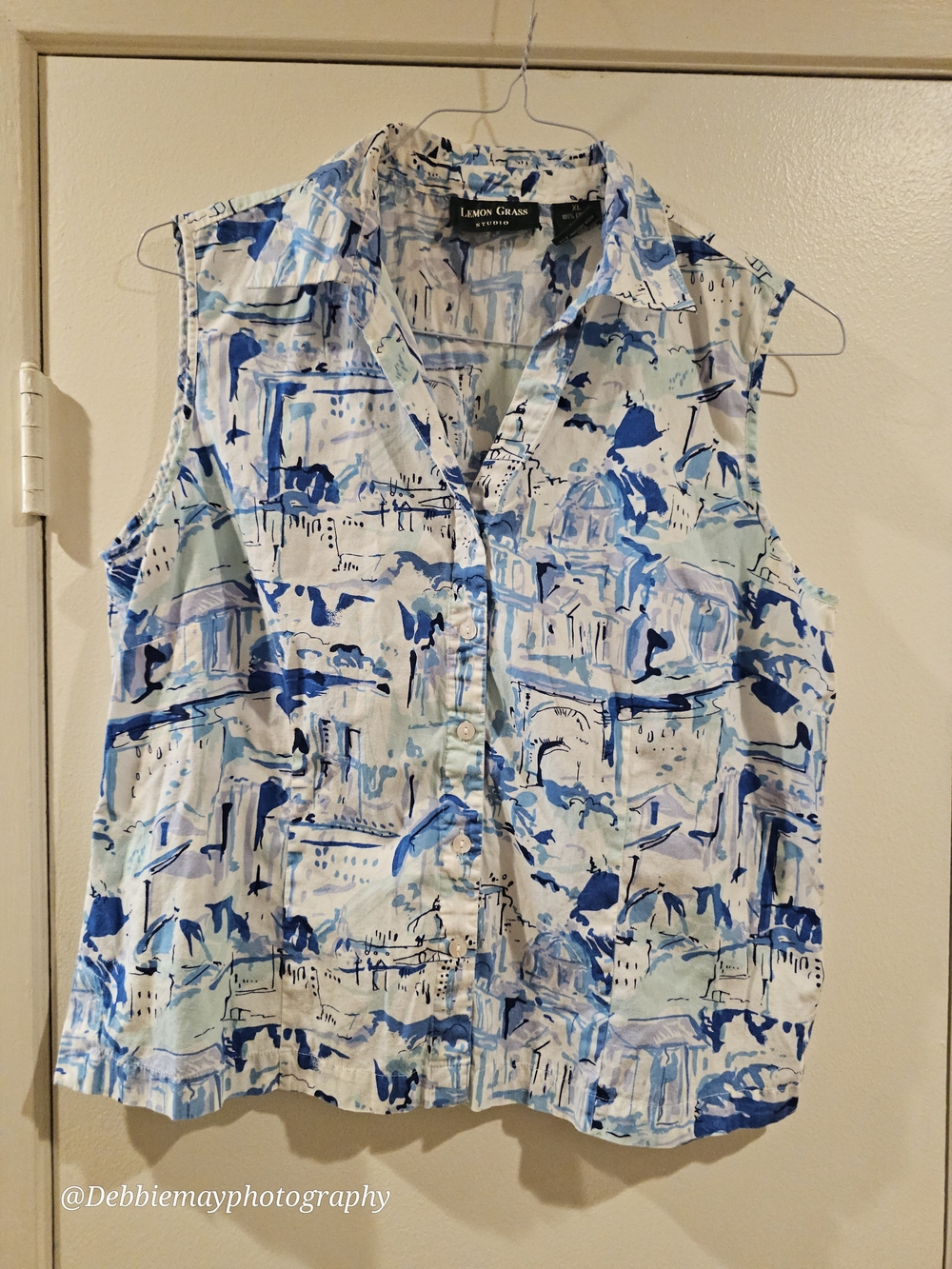 Lemon Grass Studio Button-Front Sleeveless Top - Blue & White Print